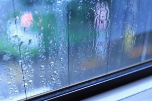 日本薫浴協会|女性薫浴 子宮 薫浴 よもぎ蒸し