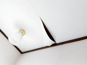 日本薫浴協会|女性薫浴 子宮 薫浴 よもぎ蒸し